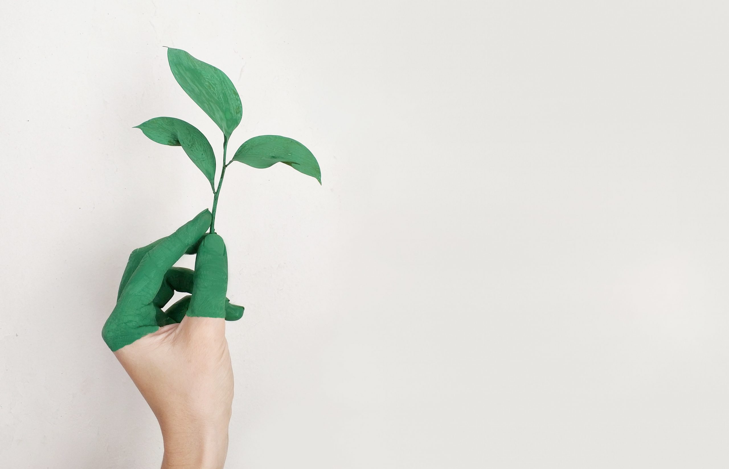 Read more about the article Sustainable travel test 1