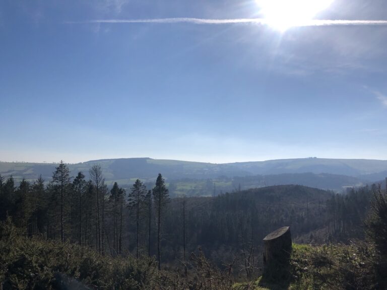 Brechfaforest-Keepers Longer Walk