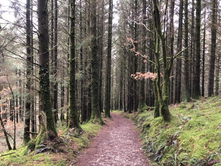 Brechfaforest-Keepers River Walk