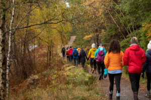 Read more about the article Why Walking Groups are a great idea to join